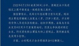 惠州最新消息爆料案件,惊曝重大案件细节披露
